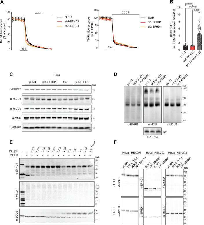 https://cdn.ncbi.nlm.nih.gov/pmc/blobs/a7ea/11535509/ba5488a7d177/44318_2024_219_Fig10_ESM.jpg
