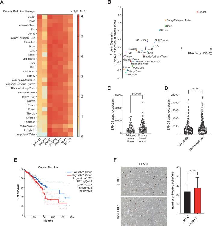 https://cdn.ncbi.nlm.nih.gov/pmc/blobs/a7ea/11535509/db987054dff5/44318_2024_219_Fig11_ESM.jpg