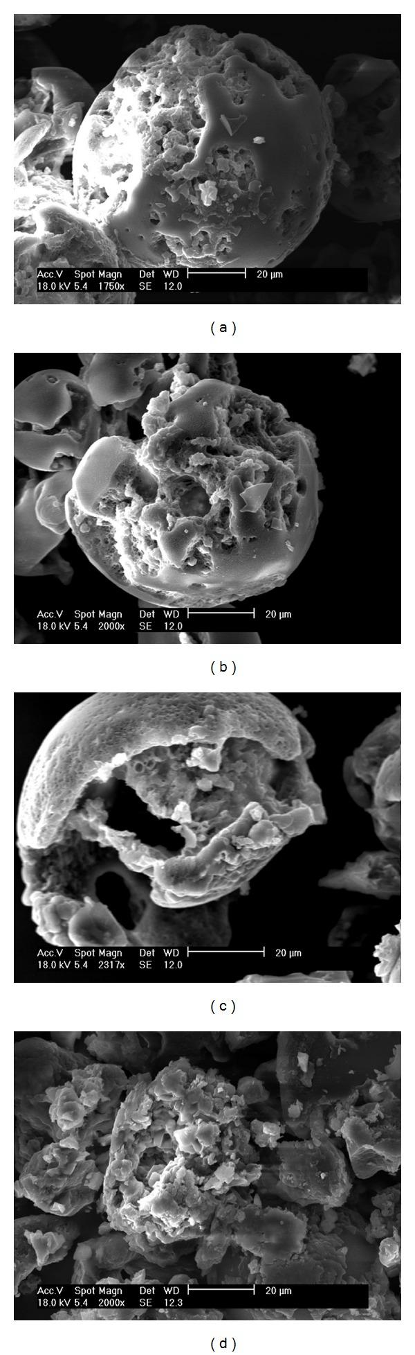 https://cdn.ncbi.nlm.nih.gov/pmc/blobs/a7ea/3391899/24bf1906d2fb/IJBM2012-458712.006.jpg
