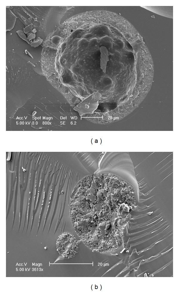 https://cdn.ncbi.nlm.nih.gov/pmc/blobs/a7ea/3391899/5c10ea006a75/IJBM2012-458712.003.jpg