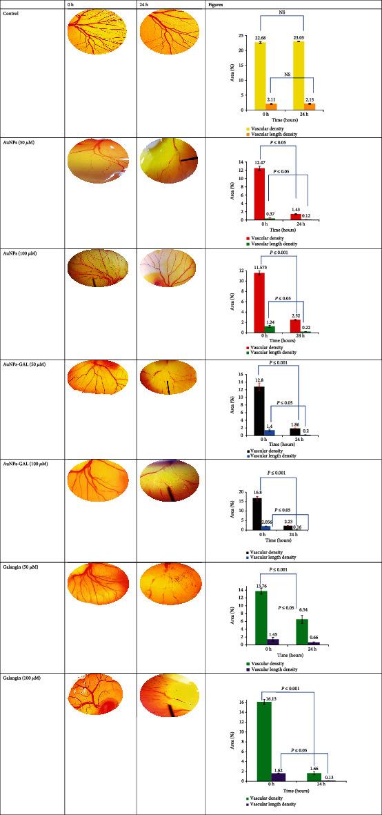 https://cdn.ncbi.nlm.nih.gov/pmc/blobs/a7ea/9950320/1d36b2f7a975/IJBC2023-3251211.012.jpg