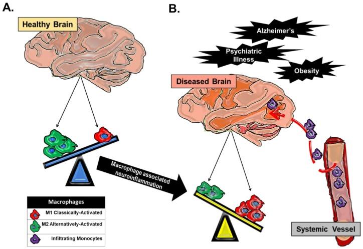 https://cdn.ncbi.nlm.nih.gov/pmc/blobs/a7eb/6160985/d866c80be93c/pharmaceuticals-11-00064-g001.jpg