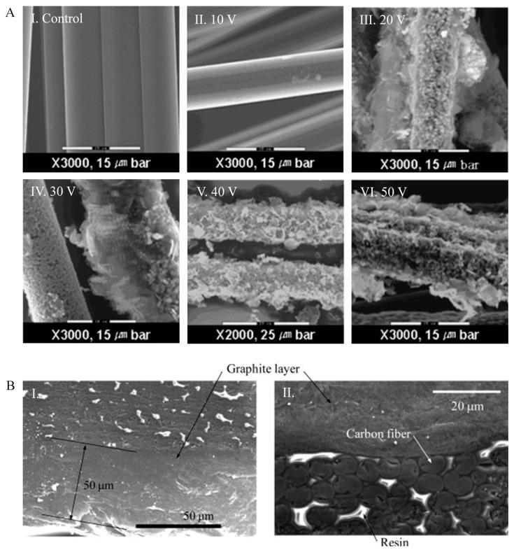 https://cdn.ncbi.nlm.nih.gov/pmc/blobs/a7ec/8399309/2ddbadd7f621/polymers-13-02771-g004.jpg