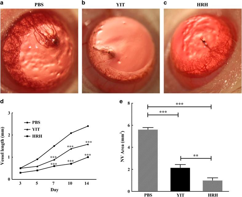 https://cdn.ncbi.nlm.nih.gov/pmc/blobs/a7ed/5661615/90f34f822f90/sigtrans201710-f5.jpg