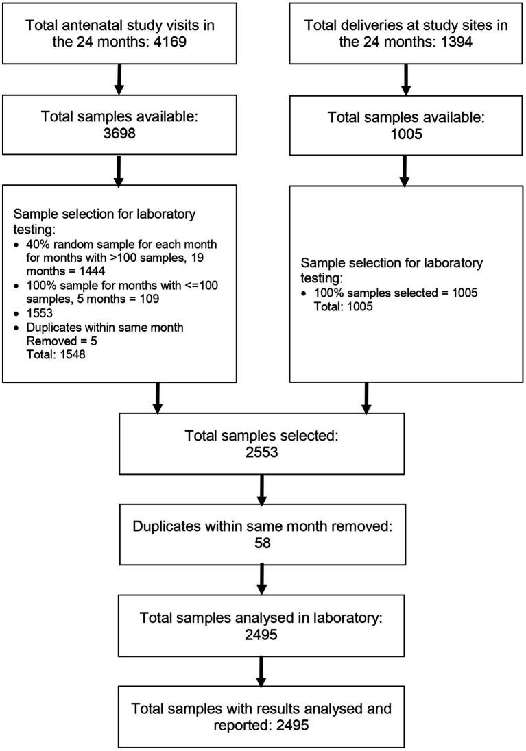 https://cdn.ncbi.nlm.nih.gov/pmc/blobs/a7ee/10760635/e339fcae078a/fpubh-11-1292932-g002.jpg