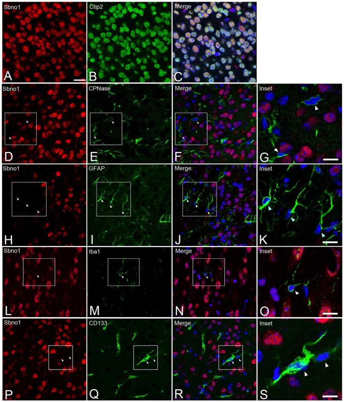 https://cdn.ncbi.nlm.nih.gov/pmc/blobs/a7ee/11843823/0b6f5878a6ba/jdb-13-00003-g002.jpg