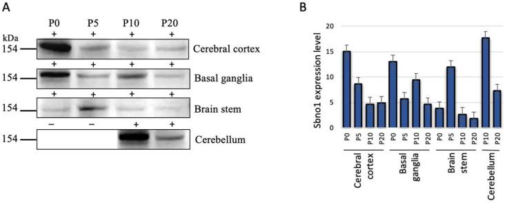 https://cdn.ncbi.nlm.nih.gov/pmc/blobs/a7ee/11843823/cab722d81332/jdb-13-00003-g001.jpg