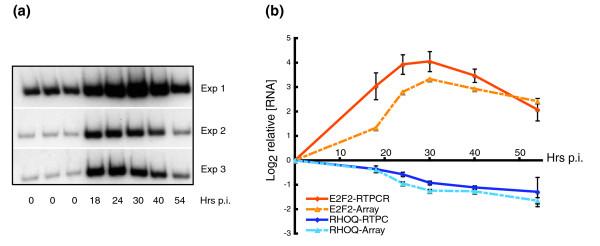 https://cdn.ncbi.nlm.nih.gov/pmc/blobs/a7ef/1896011/6d71f8e560f8/gb-2007-8-4-r58-2.jpg