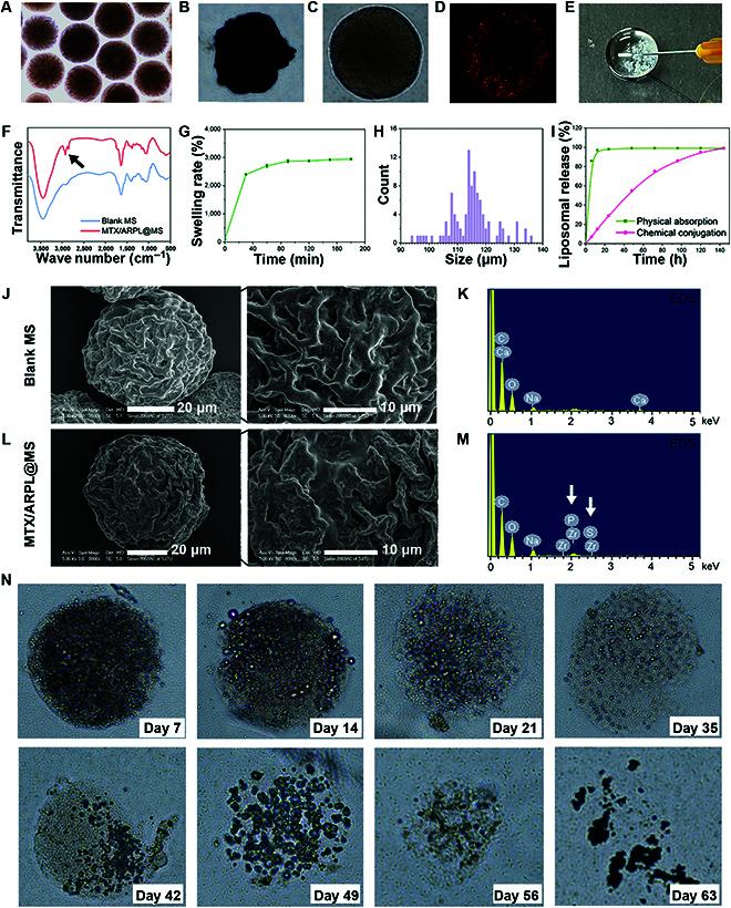 https://cdn.ncbi.nlm.nih.gov/pmc/blobs/a7f3/11407526/8df483863348/0003.fig.004.jpg