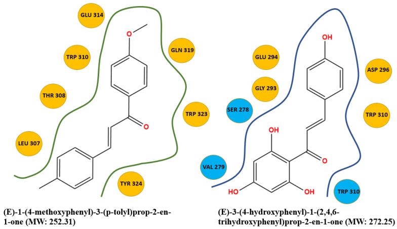 https://cdn.ncbi.nlm.nih.gov/pmc/blobs/a7f3/9369490/ea2237650a40/molecules-27-04825-g004.jpg