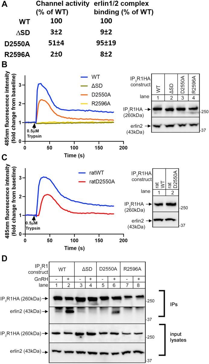 https://cdn.ncbi.nlm.nih.gov/pmc/blobs/a7f4/9168715/bee87c43154f/gr8.jpg