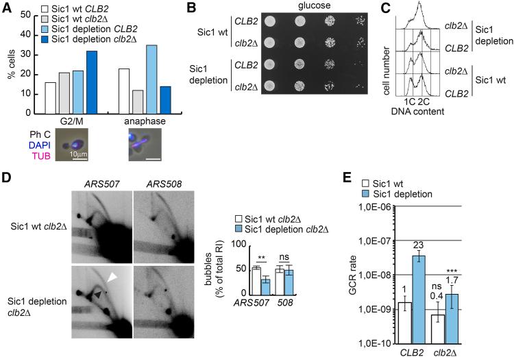 https://cdn.ncbi.nlm.nih.gov/pmc/blobs/a7f5/12182304/52cb96ba68bc/gr5.jpg