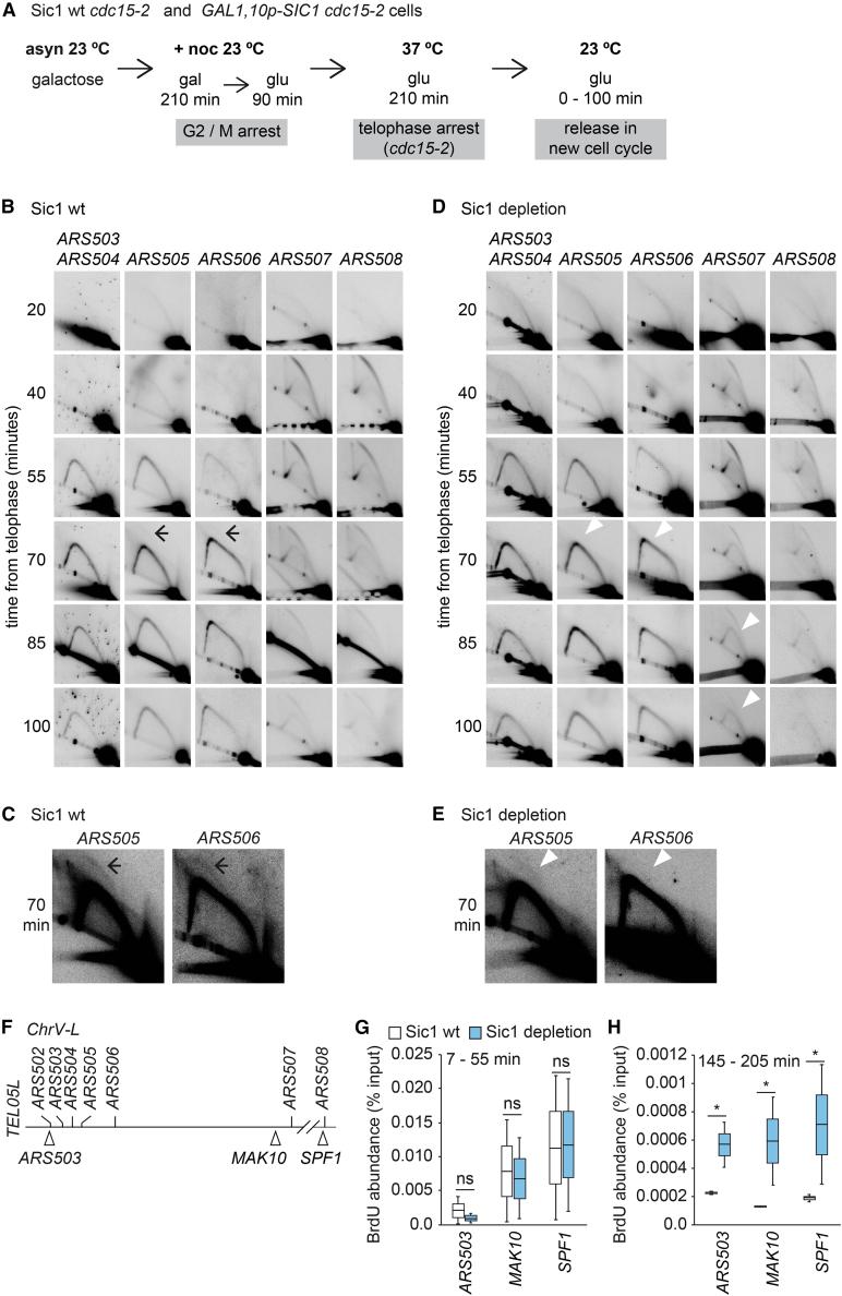 https://cdn.ncbi.nlm.nih.gov/pmc/blobs/a7f5/12182304/db6585333f53/gr4.jpg