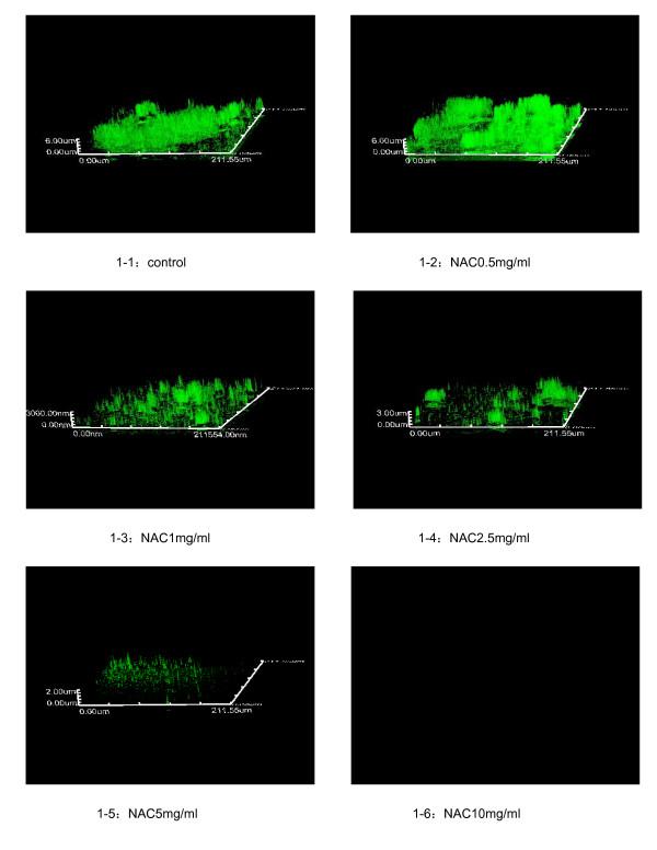 https://cdn.ncbi.nlm.nih.gov/pmc/blobs/a7f5/2882372/d3122e7e8fee/1471-2180-10-140-1.jpg