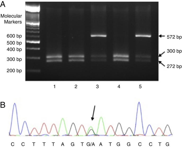 https://cdn.ncbi.nlm.nih.gov/pmc/blobs/a7f9/4997897/1df4a5d457f2/gr1.jpg
