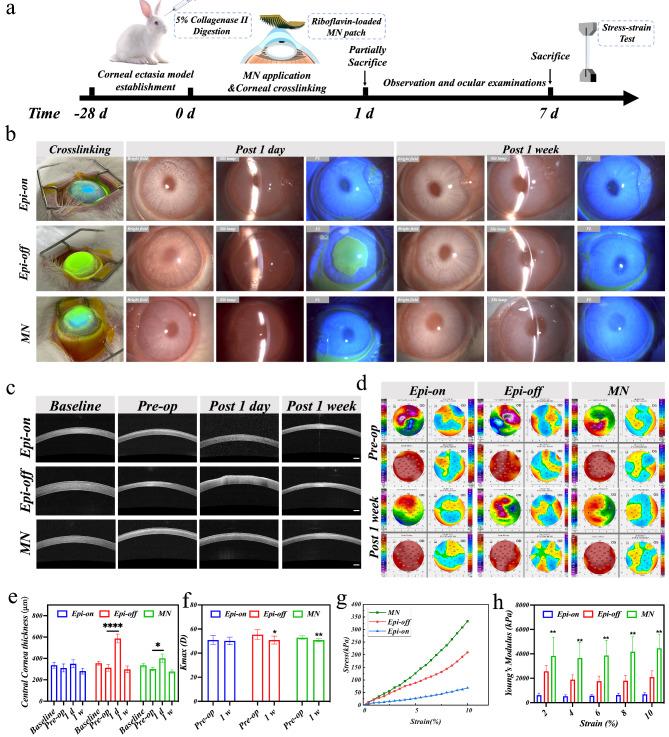 https://cdn.ncbi.nlm.nih.gov/pmc/blobs/a7fa/11438091/678dc6bb3599/12951_2024_2851_Fig6_HTML.jpg
