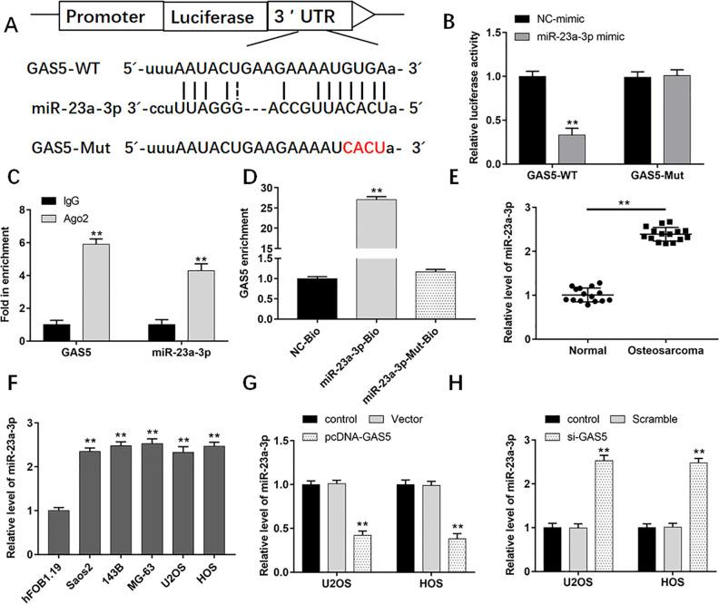 https://cdn.ncbi.nlm.nih.gov/pmc/blobs/a7fb/7784500/5e647857e427/10.1177_0963689720953093-fig4.jpg