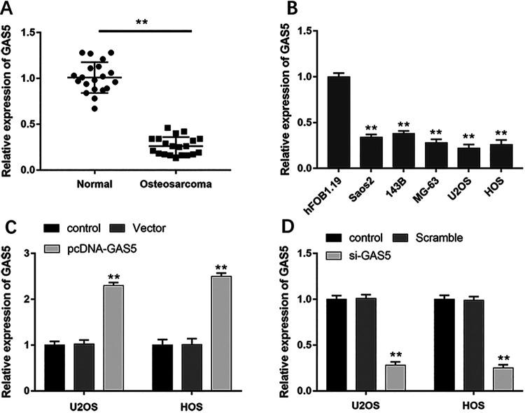 https://cdn.ncbi.nlm.nih.gov/pmc/blobs/a7fb/7784500/7e0e136cdbf7/10.1177_0963689720953093-fig1.jpg