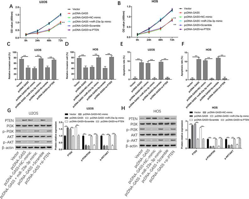 https://cdn.ncbi.nlm.nih.gov/pmc/blobs/a7fb/7784500/ca5fb97545a2/10.1177_0963689720953093-fig7.jpg