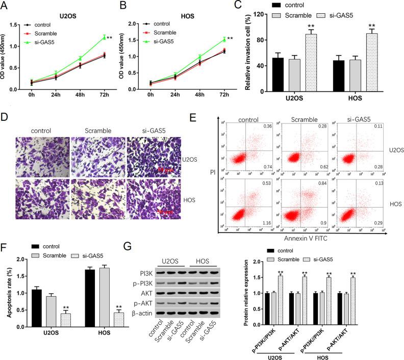 https://cdn.ncbi.nlm.nih.gov/pmc/blobs/a7fb/7784500/fd3e010084ba/10.1177_0963689720953093-fig3.jpg