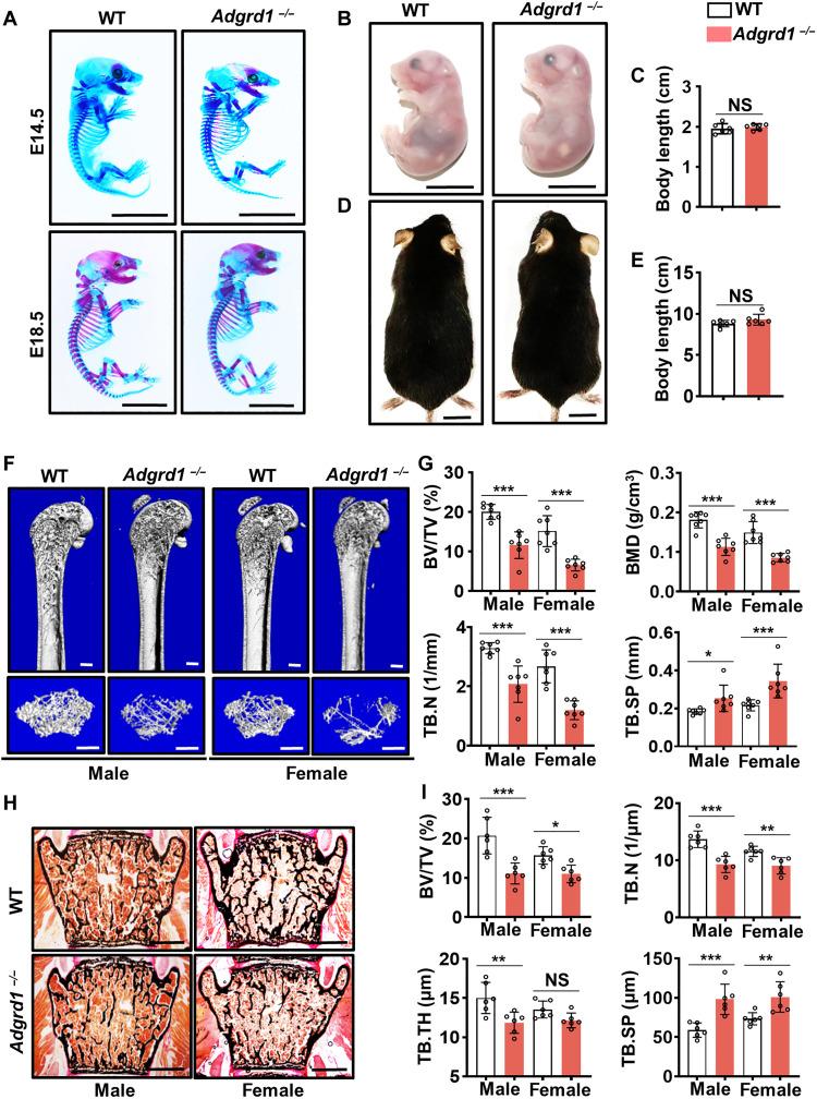 https://cdn.ncbi.nlm.nih.gov/pmc/blobs/a7fd/12248284/28da528a5f7f/sciadv.ads3829-f3.jpg