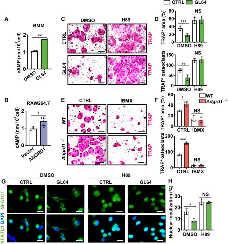 https://cdn.ncbi.nlm.nih.gov/pmc/blobs/a7fd/12248284/2d074354a8f3/sciadv.ads3829-f7.jpg