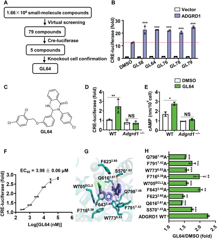 https://cdn.ncbi.nlm.nih.gov/pmc/blobs/a7fd/12248284/35ee32d3d064/sciadv.ads3829-f1.jpg