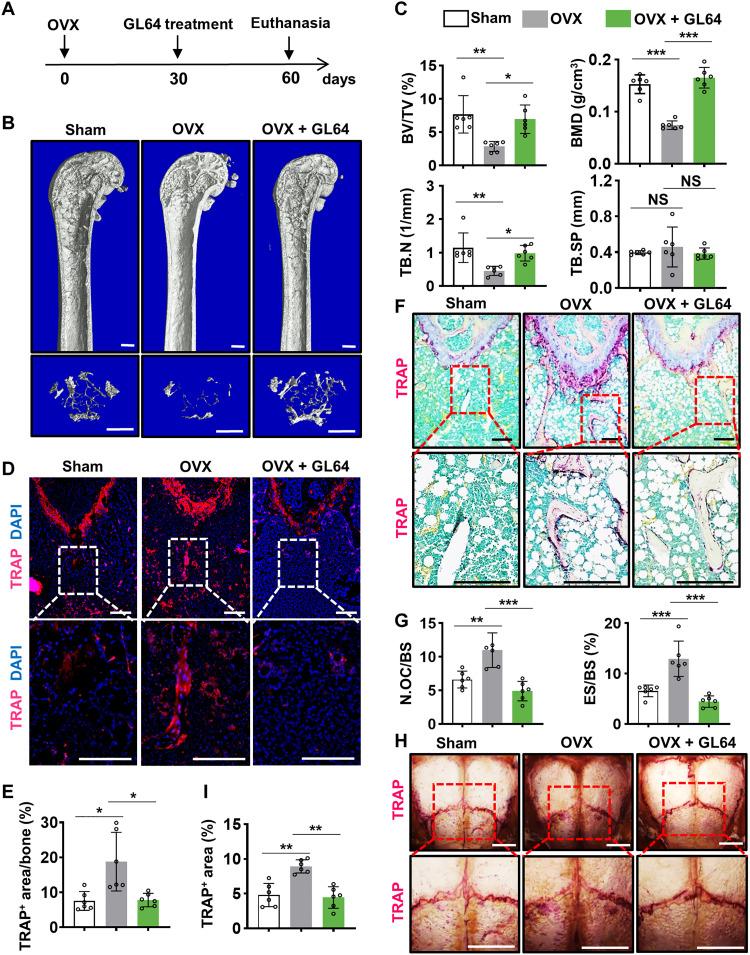 https://cdn.ncbi.nlm.nih.gov/pmc/blobs/a7fd/12248284/8dc72422ab7e/sciadv.ads3829-f8.jpg