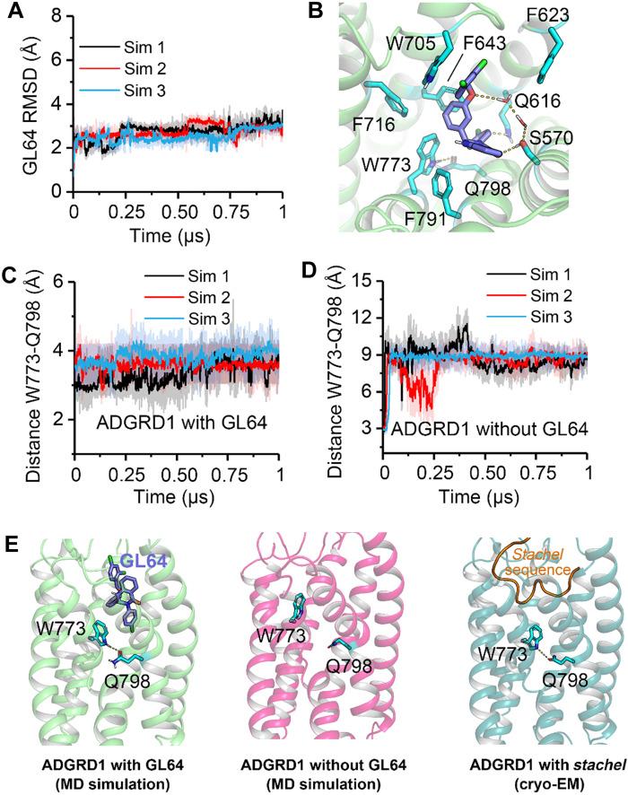https://cdn.ncbi.nlm.nih.gov/pmc/blobs/a7fd/12248284/bca2d32a2170/sciadv.ads3829-f2.jpg
