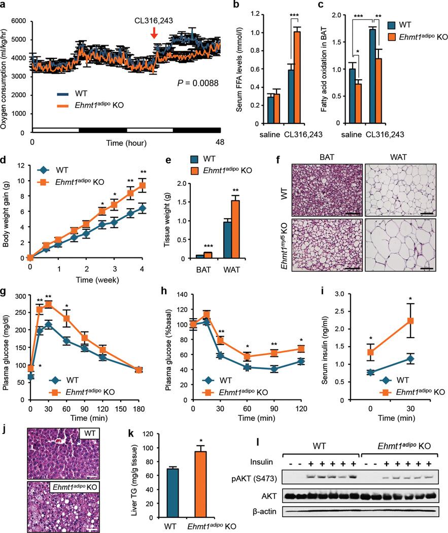 https://cdn.ncbi.nlm.nih.gov/pmc/blobs/a7fe/3855638/569134c1e15b/nihms524699f4.jpg