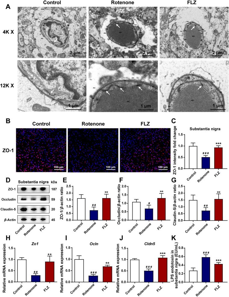 https://cdn.ncbi.nlm.nih.gov/pmc/blobs/a7ff/8463266/1f06e245e5e5/gr4.jpg