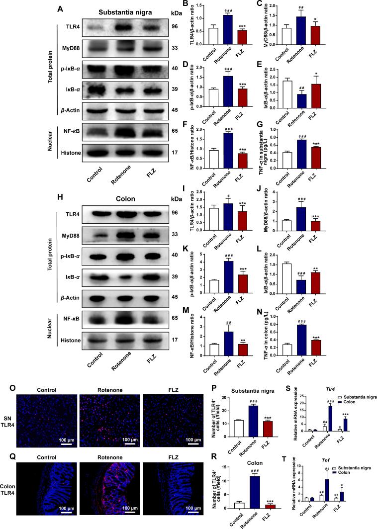 https://cdn.ncbi.nlm.nih.gov/pmc/blobs/a7ff/8463266/59b1a89b2337/gr7.jpg