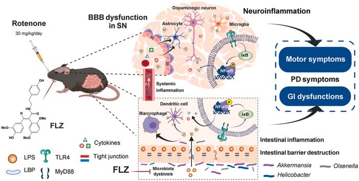 https://cdn.ncbi.nlm.nih.gov/pmc/blobs/a7ff/8463266/5c94044cc614/ga1.jpg