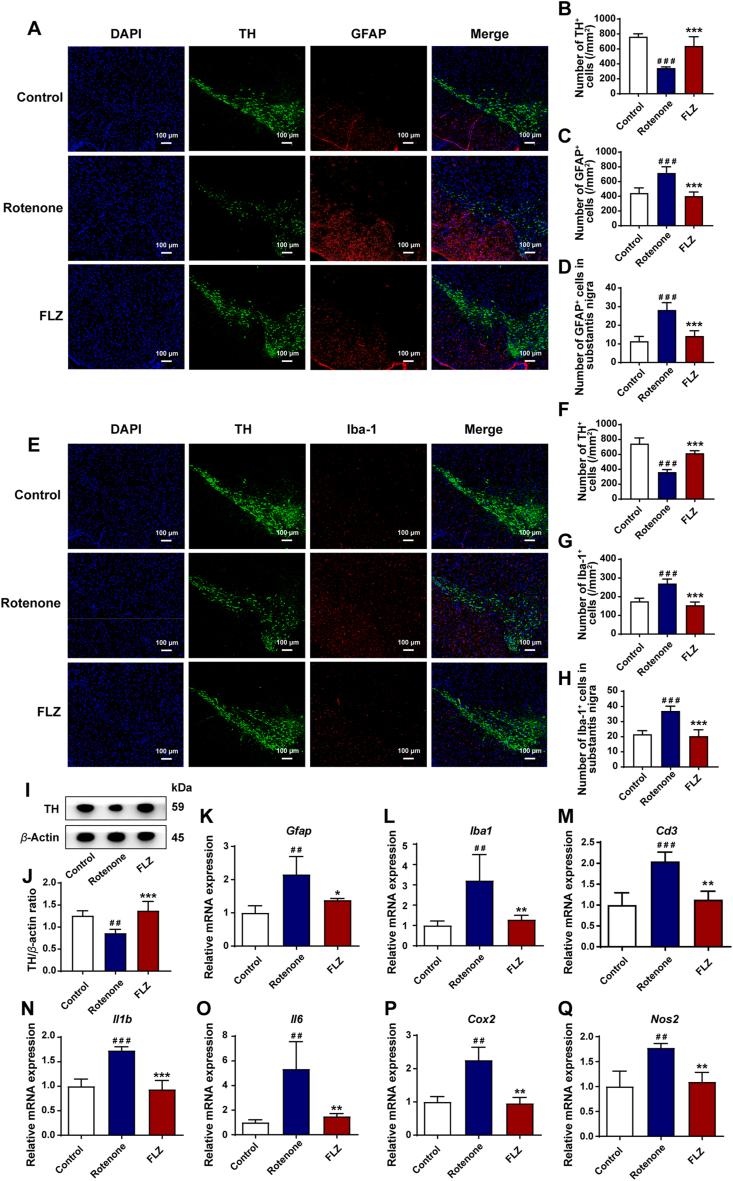 https://cdn.ncbi.nlm.nih.gov/pmc/blobs/a7ff/8463266/5f0549472464/gr3.jpg