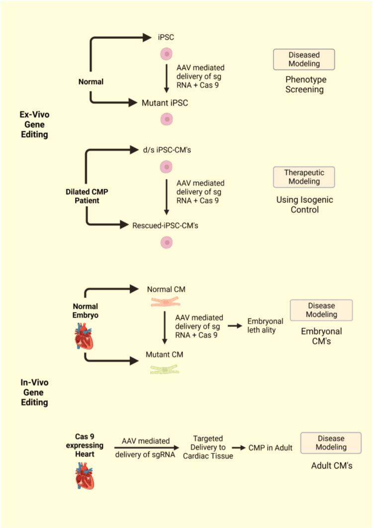 https://cdn.ncbi.nlm.nih.gov/pmc/blobs/a800/10071452/74de043c125f/cureus-0015-00000035774-i04.jpg