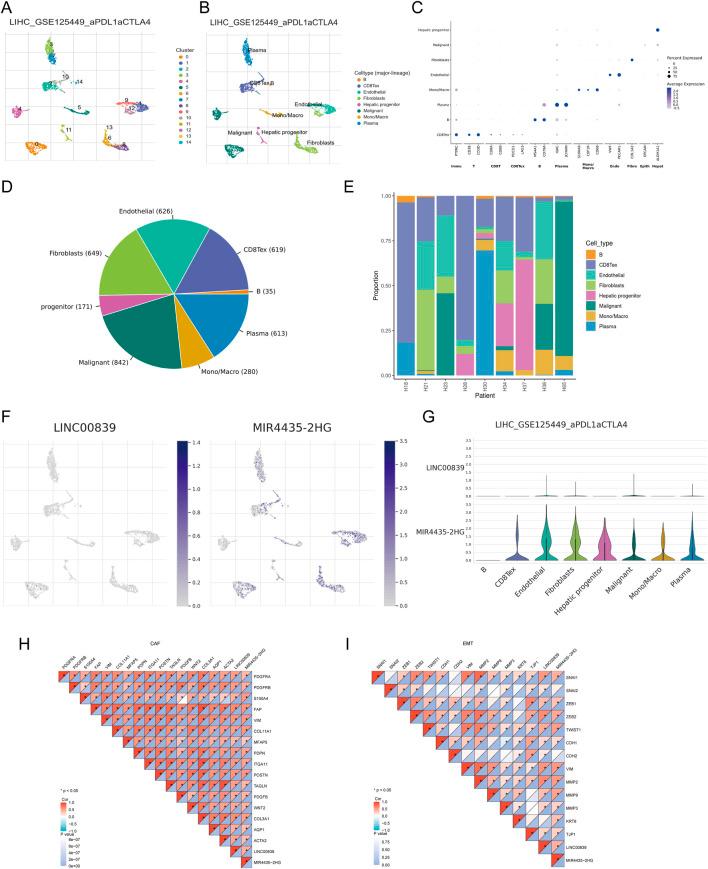 https://cdn.ncbi.nlm.nih.gov/pmc/blobs/a801/12364852/5e1917392a16/fphar-16-1581122-g010.jpg