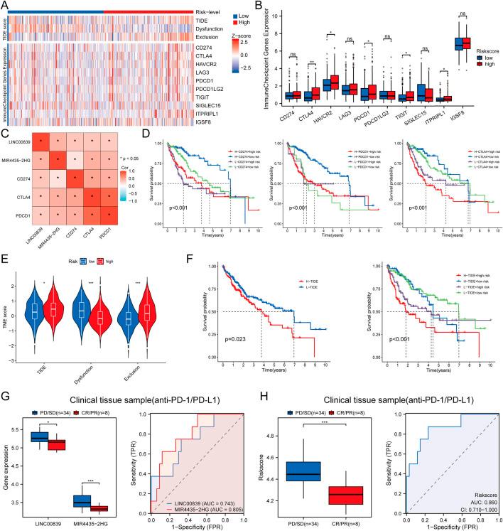https://cdn.ncbi.nlm.nih.gov/pmc/blobs/a801/12364852/e5f460080ad9/fphar-16-1581122-g011.jpg