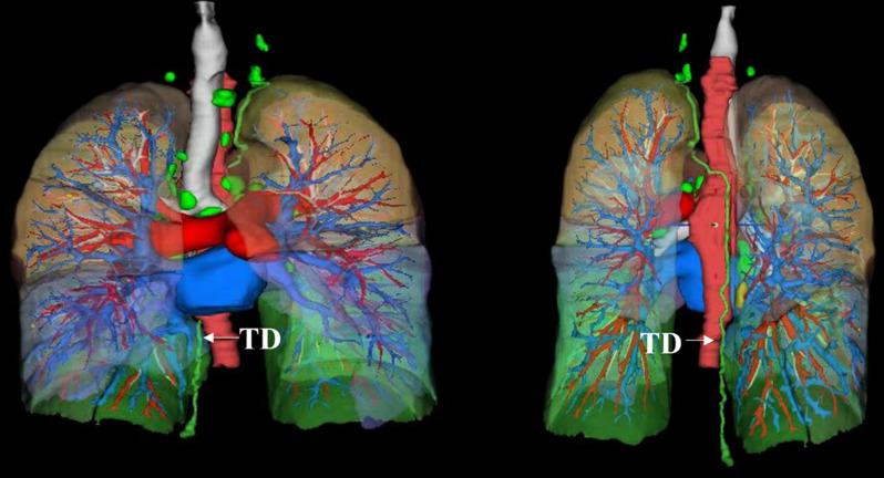 https://cdn.ncbi.nlm.nih.gov/pmc/blobs/a803/11786395/22580c92f02a/13019_2024_3319_Fig1_HTML.jpg