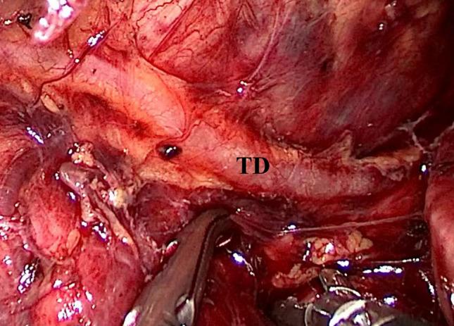 https://cdn.ncbi.nlm.nih.gov/pmc/blobs/a803/11786395/99a1cf2fc01b/13019_2024_3319_Fig2_HTML.jpg