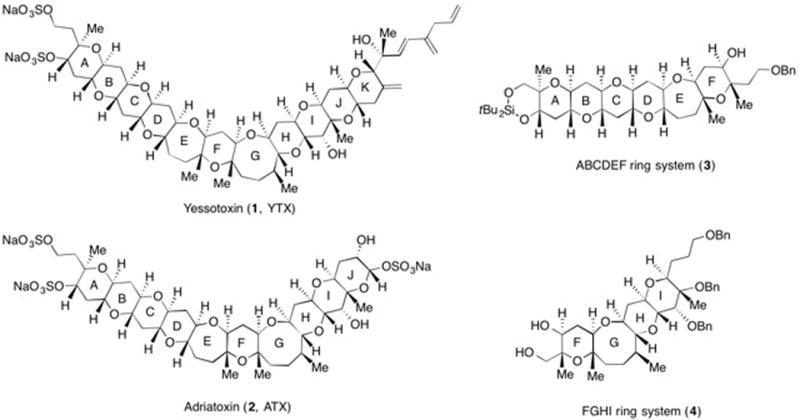 https://cdn.ncbi.nlm.nih.gov/pmc/blobs/a803/4898783/90b48940b715/nihms755564f1.jpg