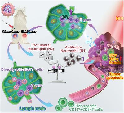 https://cdn.ncbi.nlm.nih.gov/pmc/blobs/a805/9009112/28cd975f7d64/ADVS-9-2105631-g002.jpg