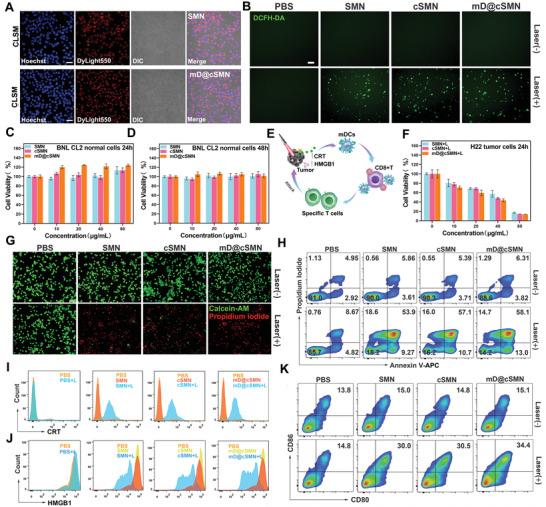 https://cdn.ncbi.nlm.nih.gov/pmc/blobs/a805/9009112/6dc86165fe53/ADVS-9-2105631-g001.jpg