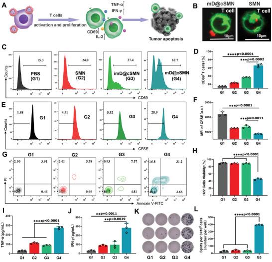 https://cdn.ncbi.nlm.nih.gov/pmc/blobs/a805/9009112/be88b380cc61/ADVS-9-2105631-g006.jpg