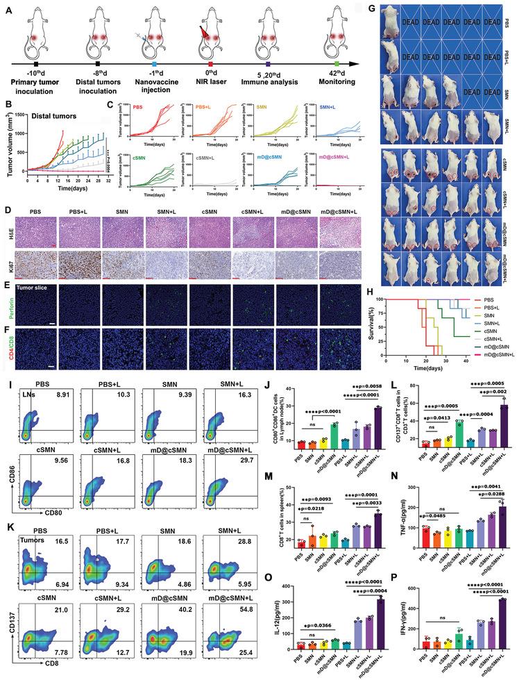 https://cdn.ncbi.nlm.nih.gov/pmc/blobs/a805/9009112/eff4e2edc5a5/ADVS-9-2105631-g003.jpg