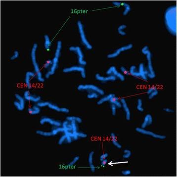 https://cdn.ncbi.nlm.nih.gov/pmc/blobs/a806/4260201/40614fea605a/13039_2014_76_Fig3_HTML.jpg