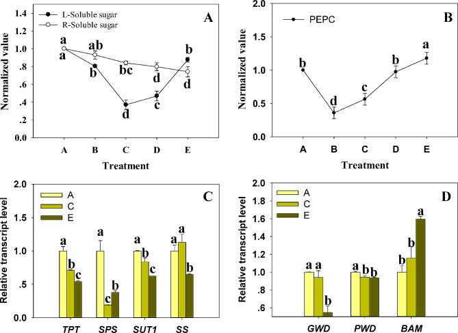 https://cdn.ncbi.nlm.nih.gov/pmc/blobs/a808/11191358/b6dc009ba2d7/12870_2024_5242_Fig4_HTML.jpg