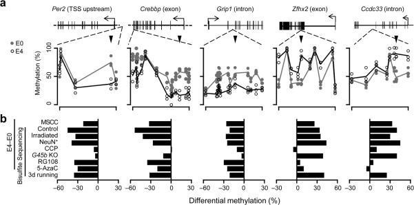 https://cdn.ncbi.nlm.nih.gov/pmc/blobs/a809/3183401/6522819d1896/nihms-311435-f0003.jpg