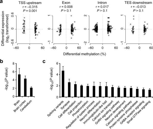 https://cdn.ncbi.nlm.nih.gov/pmc/blobs/a809/3183401/f6b09554fb05/nihms-311435-f0006.jpg