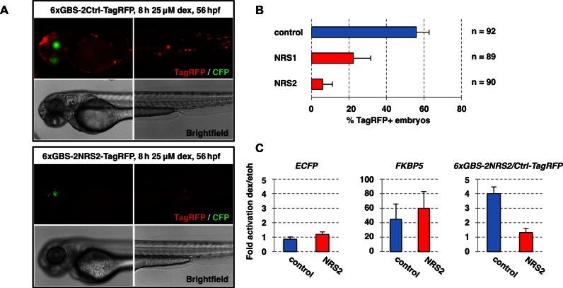 https://cdn.ncbi.nlm.nih.gov/pmc/blobs/a809/5291246/208a5a132486/gkw203fig4.jpg
