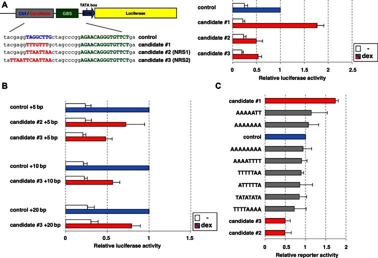 https://cdn.ncbi.nlm.nih.gov/pmc/blobs/a809/5291246/744aefe0cf5c/gkw203fig2.jpg
